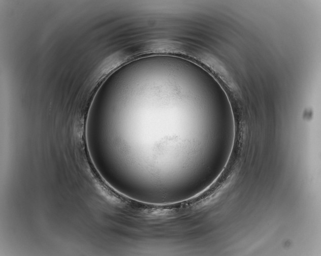 X0000099410841200805091217