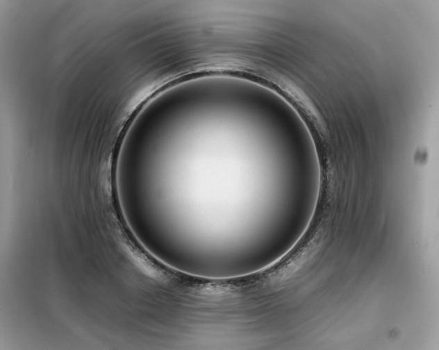 X0000099410842200805091217