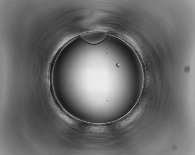 X0000099410843200805091217