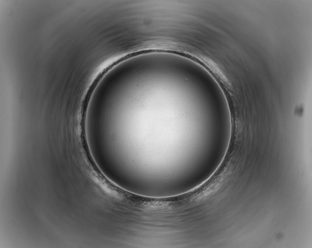 X0000099410846200805091217
