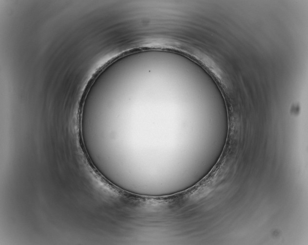 X0000099410848200805091217