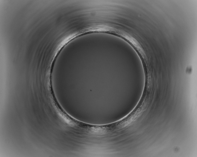 X0000099410850200805091217
