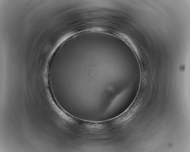 X0000099410851200805091217
