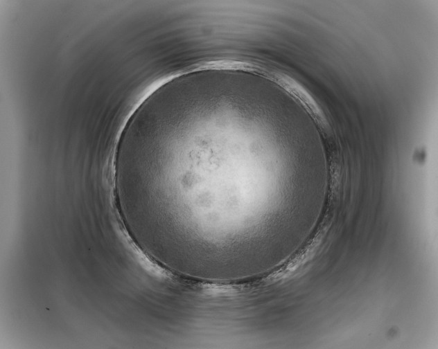X0000099410852200805091217
