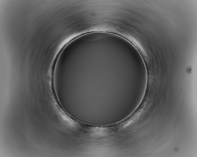 X0000099410854200805091217