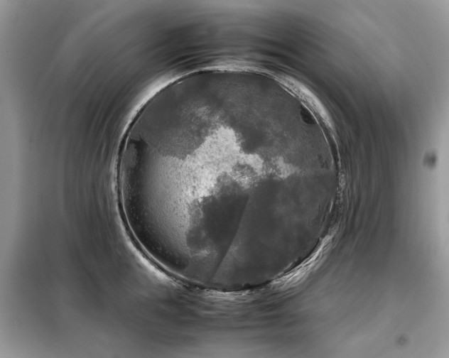 X0000099410855200805091218
