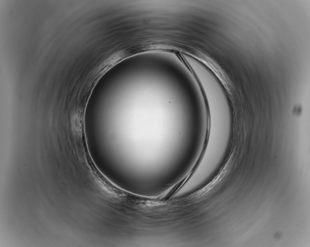 X0000099410857200805091218
