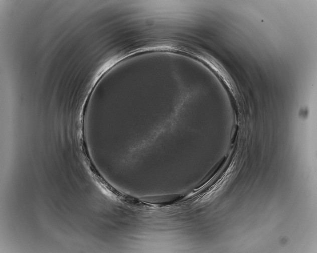 X0000099410858200805091218