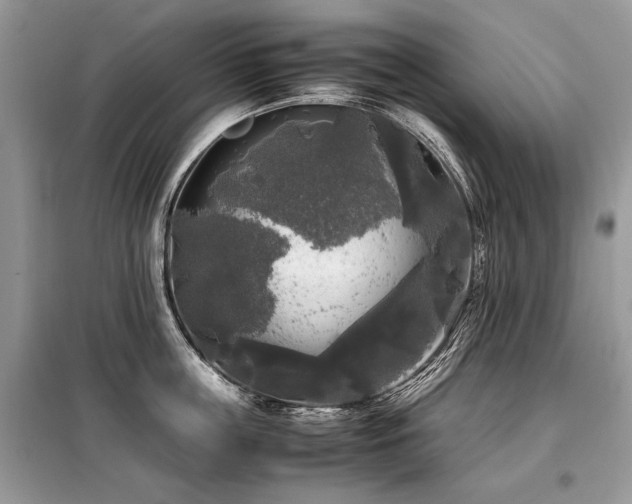 X0000099410859200805091218