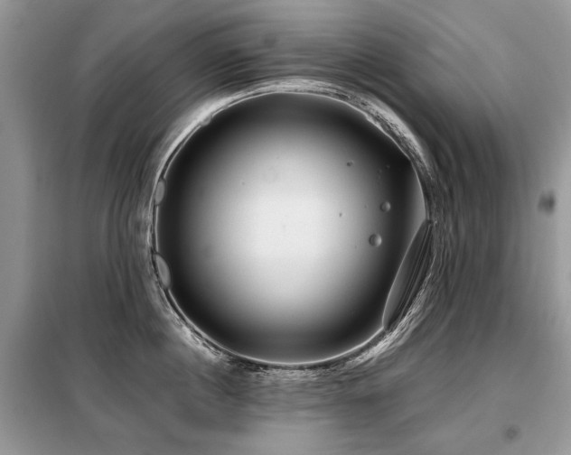 X0000099410860200805091218