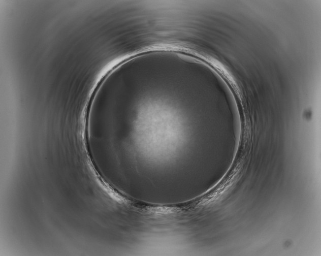 X0000099410862200805091218