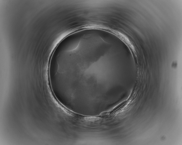 X0000099410863200805091218