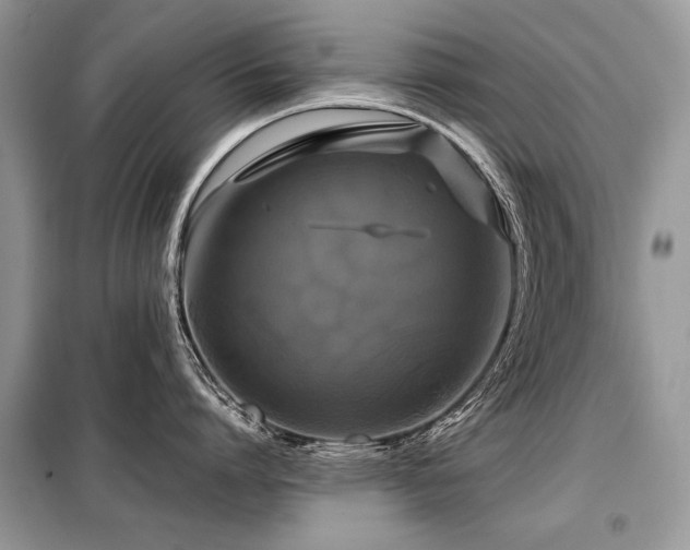 X0000099410864200805091218