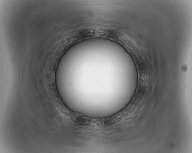 X0000099410865200805091217