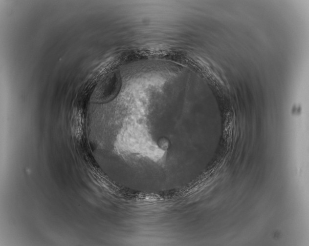 X0000099410866200805091217