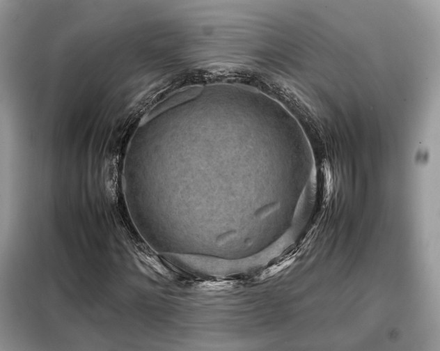 X0000099410868200805091217