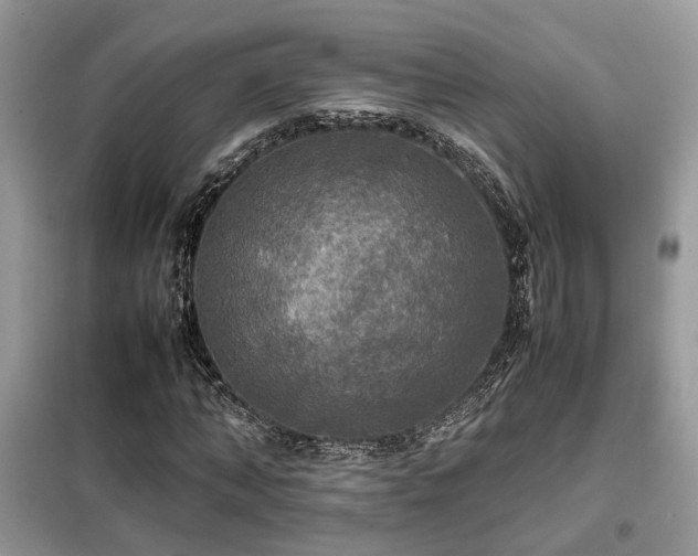 X0000099410870200805091217