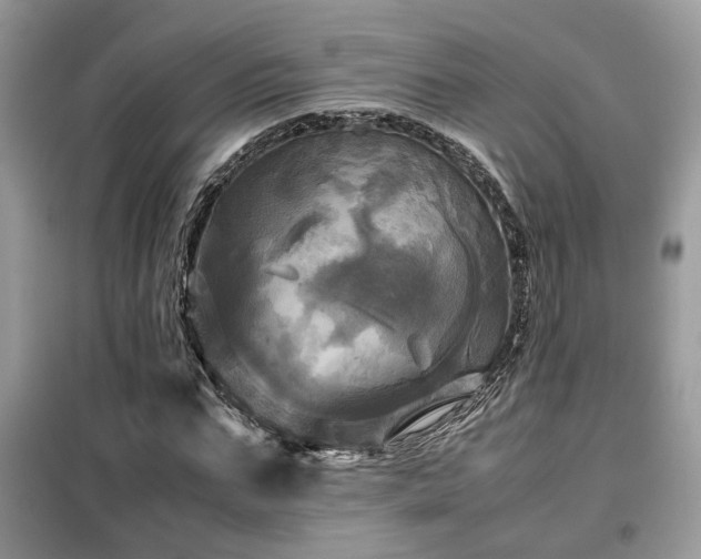 X0000099410871200805091217