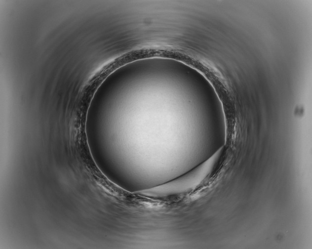 X0000099410872200805091217