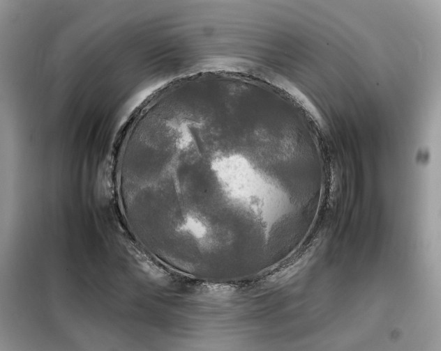 X0000099410878200805091217
