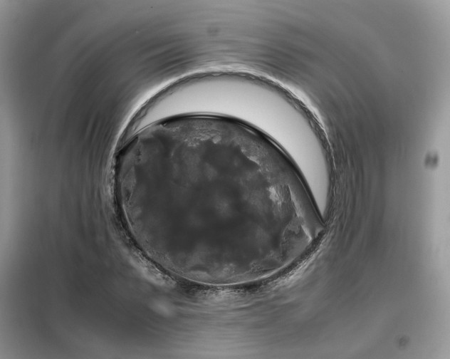 X0000099410879200805091217