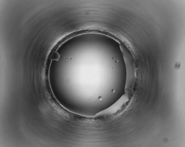 X0000099410880200805091217