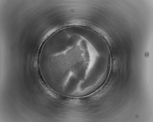 X0000099410882200805091217