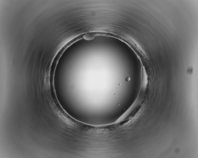 X0000099410884200805091217