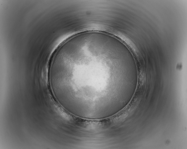 X0000099410886200805091217