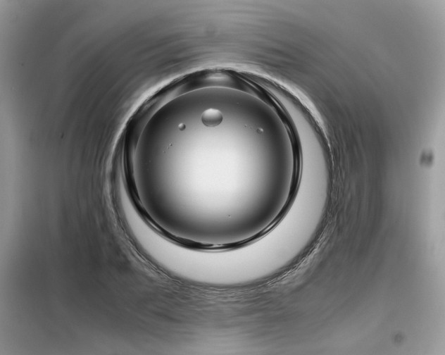 X0000099410887200805091217