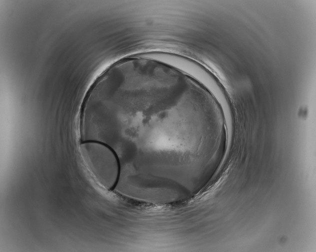 X0000099410891200805091217