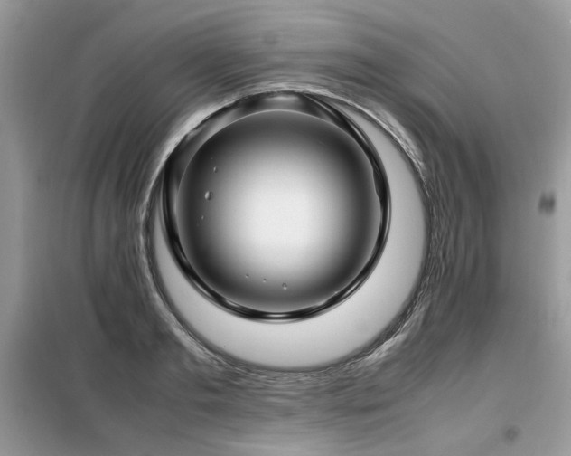X0000099410893200805091217