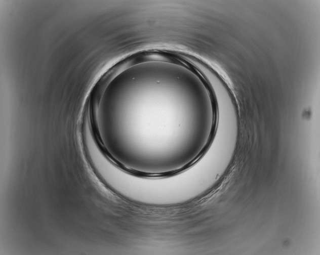 X0000099410895200805091217