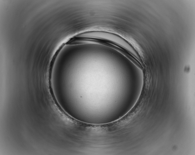 X0000099410896200805091217