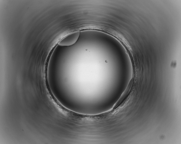 X0000099410898200805091216