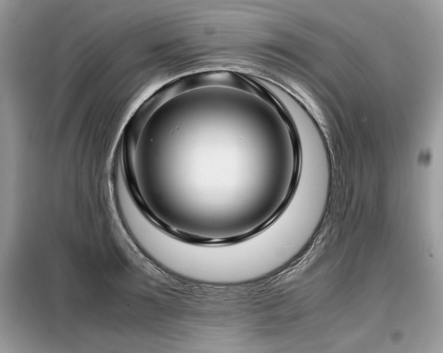 X0000099410899200805091216