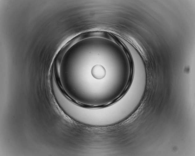 X0000099410900200805091216