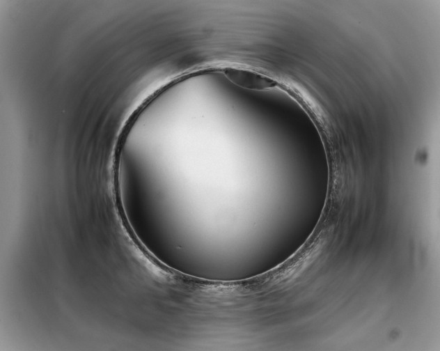 X0000099410902200805091216