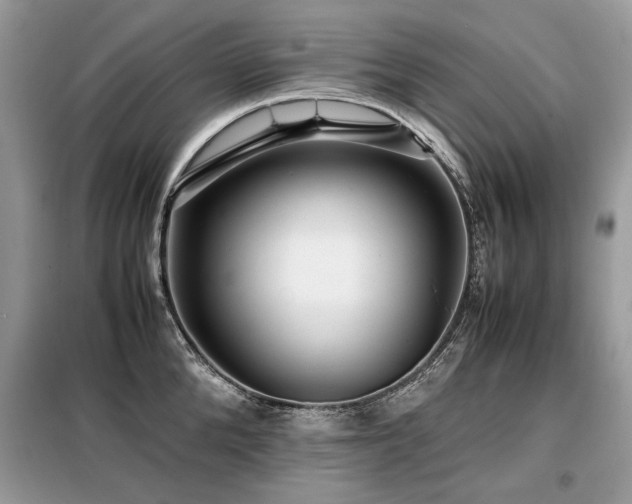 X0000099410904200805091216