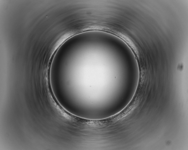 X0000099410906200805091216