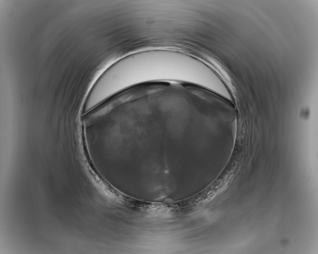 X0000099410907200805091216
