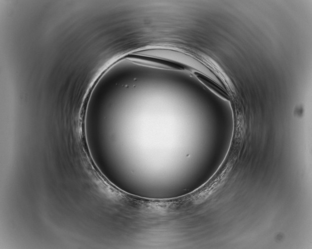 X0000099410908200805091216