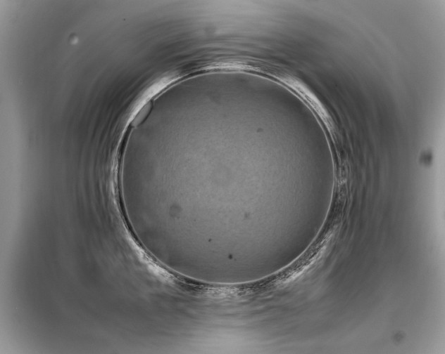 X0000099410909200805091216