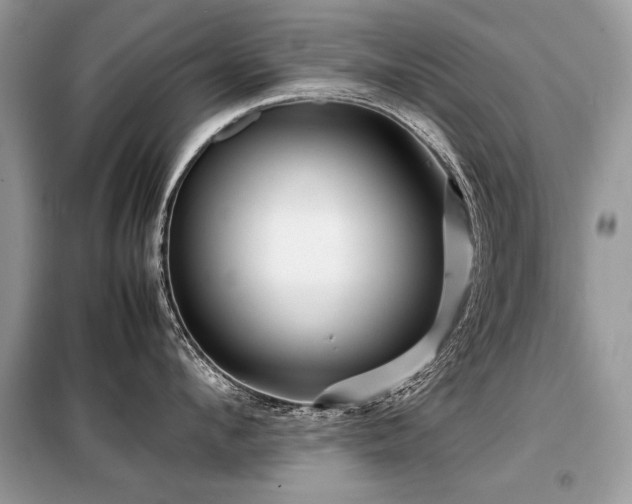 X0000099410912200805091216