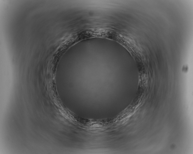 X0000099410913200805091216