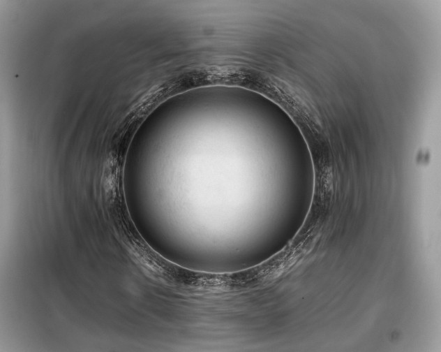 X0000099410914200805091216