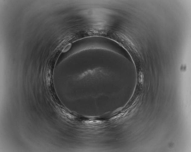 X0000099410915200805091216