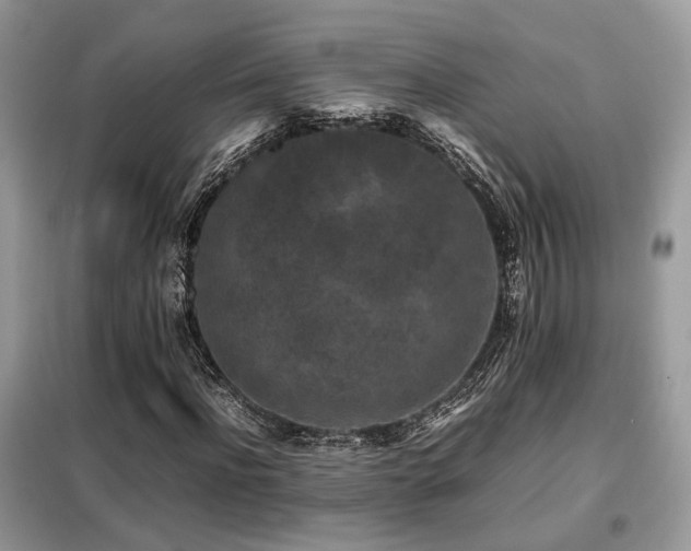 X0000099410916200805091216