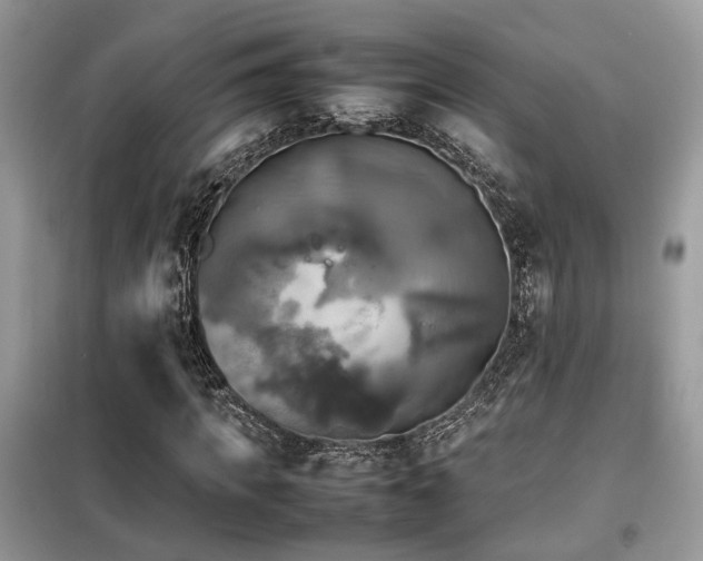 X0000099410917200805091216