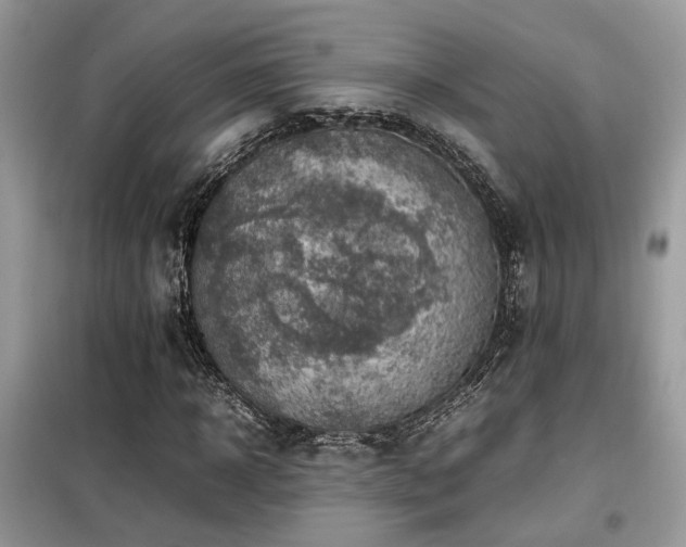 X0000099410918200805091216